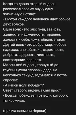 1сИог УовИа (ЭсисЬог Старик перед смертью собрал своих детей и сказал:  \"Принесите мне веник.\" Де / твиттер :: интернет :: притча / смешные картинки  и другие приколы: комиксы, гиф анимация, видео, лучший интеллектуальный  юмор.