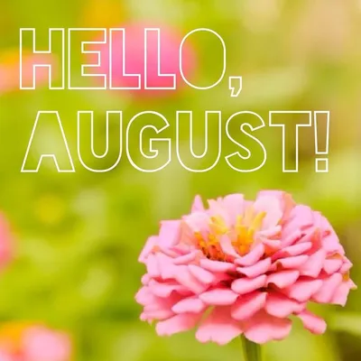 Hello August. Sea Waves and Beautiful Sandy Beach, Top View Stock Image -  Image of relax, marine: 215539383