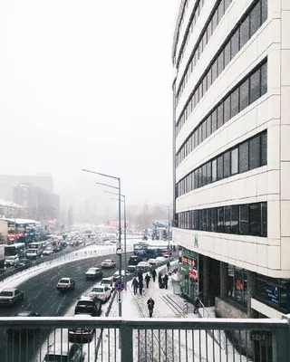 Привет солнечный февраль! ☀️ —————————— У тебя есть интересные фото и  видео? Присылай их в директ. 📷 @rouziazizova ⠀ ❗ Стал свидетелем… |  Instagram