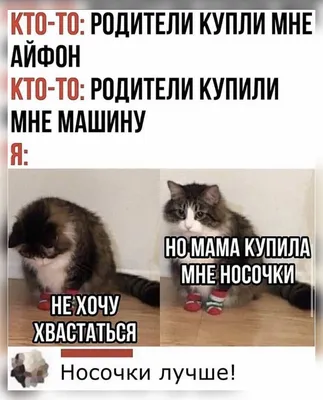 Hello: привет What is your name: Как тебя зовут? My name is: Меня зовут How  are you: Как дела?