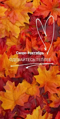 Октябрь шлёт привет! :: Татьян@ Ивановна – Социальная сеть ФотоКто