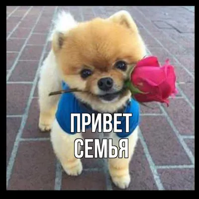 Привет семье😍 Это Я-Каныкей! 🥰 Долгожданный гость❤️❤️❤️ | Instagram