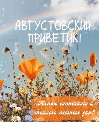 Красивые картинки - Августовский приветик! (42 фото)