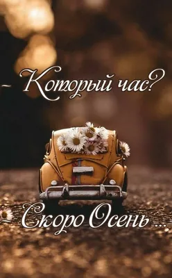 Всем привет , остались прикольные картинки от сканвордов вот решил выложить  | Пикабу