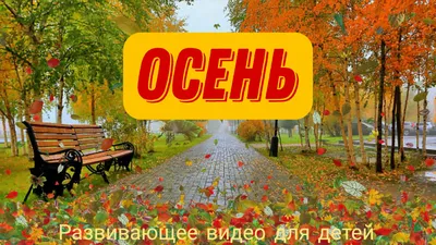 Контурное лото \"Признаки осени\" Развивается внимание, воображение,  логическое мышление и фотографическая память ребенка. Материалы для… |  Воображение, Осень, Разное