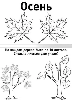 Осенний спин: мир в одном обороте. Методический обзор пособия-вертушки \"Признаки  осени\" | Методист в отставке 🤍 | Дзен