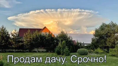 Продам дачу, г. Стрежевой, 6 км. дороги Стрежевой-Нижневартовск,  собственник — объявление №6863514, 30 м², 190000 руб, фотографии