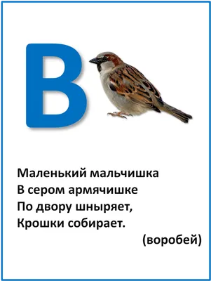 Презентация на тему: \"Проект \"Азбука в загадках\" для 1 класса\". Скачать  бесплатно и без регистрации.