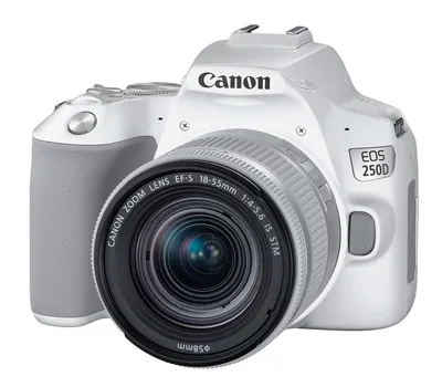 Фотоаппарат зеркальный Canon EOS 2000D 18-55mm III Black, купить в Москве,  цены в интернет-магазинах на Мегамаркет