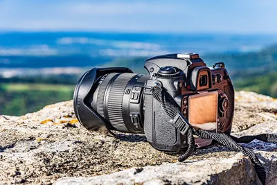 Зеркальный фотоаппарат Canon EOS 77D Body - взять в прокат, цена на аренду  фототехники в СПб