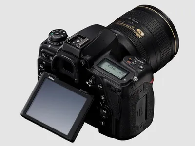 Зеркальный фотоаппарат Canon EOS 250D kit (18-55mm) EF-S IS STM - MuzDrive  - интернет магазин музыкальных инструментов