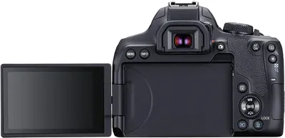 Зеркальный фотоаппарат аналоговая canon eos 5 qd недорого ➤➤➤ Интернет  магазин DARSTAR