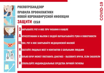 ГБДОУ детский сад № 62 Красносельского района СПб