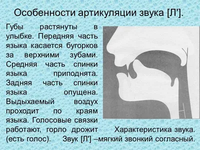 Артикуляция звуков в картинках скачать | Логопедия, Дошкольное воспитание,  Логопедические игры