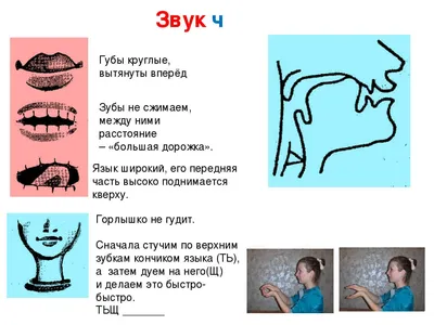 Рецензии покупателей на \"Артикуляция звуков в графическом изображении.  Учебно-демонстрационный материал\" - Издательство Альфа-книга