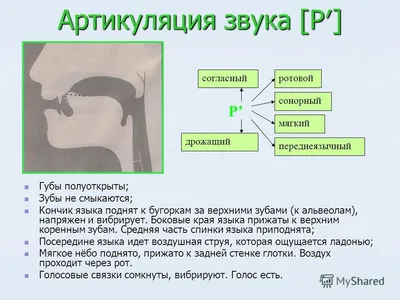 Почему сначала обязательно гласные👆 И только потом постановка дефектных  согласных | Логопед дает совет | Дзен