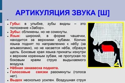 Артикуляция звуков в графическом изображении (логопедические  артикуляционные профили), Гном - купить в интернет-магазине Игросити