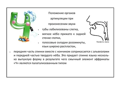 Издательство \"Детство-Пресс\" | В помощь начинающему логопеду. Постановка и  автоматизация шипящих звуков [ш], [ж], [щ], [ч]. (5—7 лет). ФГОС