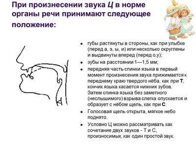 Миофункциональная коррекция и профилактика нарушений произношения.  Конспекты логопедических занятий. Миофункциональный трейнер «INFANT.  Архипова Е.Ф.»: купить в книжном магазине «День». Телефон +7 (499) 350-17-79