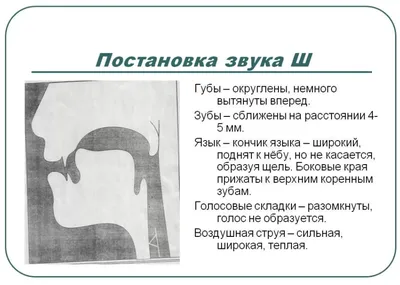 Постановка звука Ш: логопедические задания и упражнения. Блог Лого-Эксперт