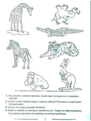 11 инстаграм-аккаунтов для изучения английского языка | Медиа портал -  Казанский (Приволжский) Федеральный Университет