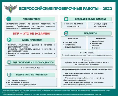 Почему профориентация не работает и какой она должна быть | РБК Тренды