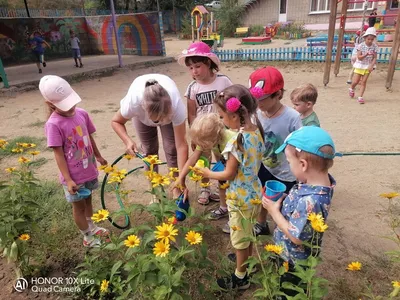 Чем заняты дети в детском саду во время прогулки? Вы спрашивали у своего  ребёнка? | Жизнь в России | Дзен