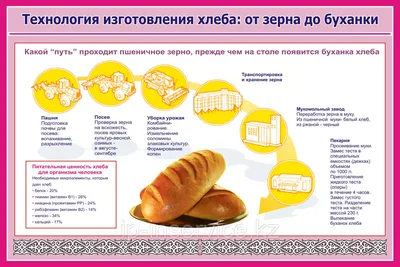 ФГБУ «Центр оценки качества зерна» | Всемирный день хлеба: история,  традиции, качество и модные тренды