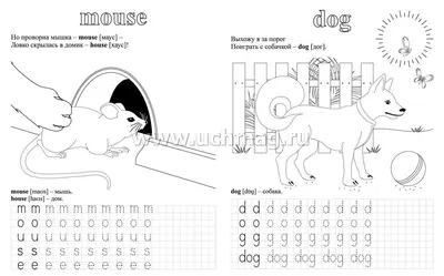 Прописи. Английский в стихах и картинках: животные. Для детей 6-7 лет –  купить по цене: 27 руб. в интернет-магазине УчМаг