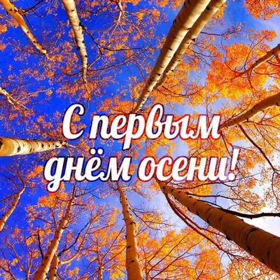 Ну как говорится, прощай лето - мы будем скучать, здравствуй осень - с 1  сентября!😜💋 Есть у меня мамы первошей?🙋🏻 | Лето, Прощай, Осень