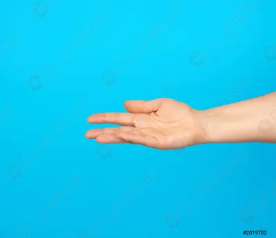Протянутая рука в знак молитвы: изображение для религиозных сайтов