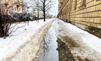 Место встречи.: Противная цапля.