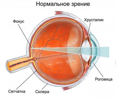 Как проверить зрение вблизи (в очках или без очков )? Легко - проверяйте ⬇️  | Врач - офтальмолог первой кв категории | Дзен