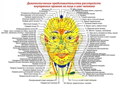 Прыщи на лице, шее, груди, спине: причины, лечение и профилактика