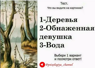 Оптическая иллюзия женщина и петух — что вы выбираете любовь или работу