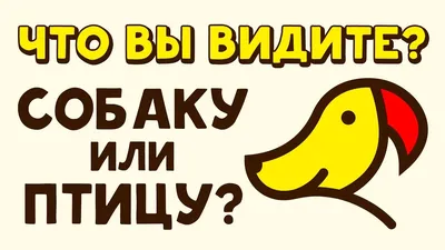 Тест: скажите, что вы видите на картинке, и мы скажем, какое у вас  состояние | WDAY