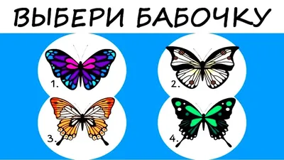 Психотест: истории из жизни, советы, новости, юмор и картинки — Все посты |  Пикабу