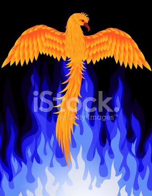 Птица Феникс огня вычерченная руки. Иллюстрация вектора Иллюстрация вектора  - иллюстрации насчитывающей график, опасность: 173348054
