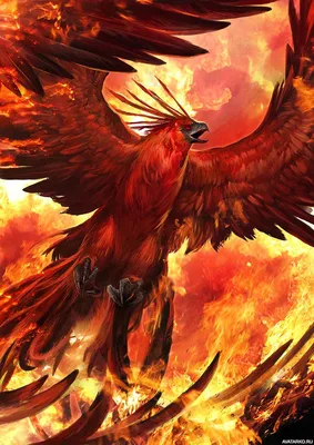 Большая красная птица феникс возрождается из огня — Фотографии на аву |  Phoenix bird art, Phoenix artwork, Mythical creatures