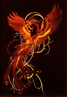 Наклейка на авто Красивая птица феникс с крыльями символ - купить по  выгодным ценам в интернет-магазине OZON (708984256)
