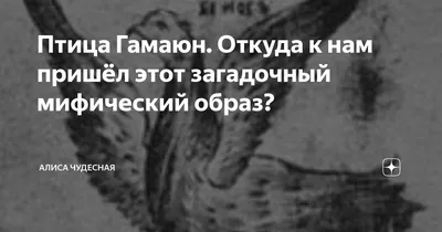 Иллюстрация Птица Гамаюн в стиле академический рисунок, графика,