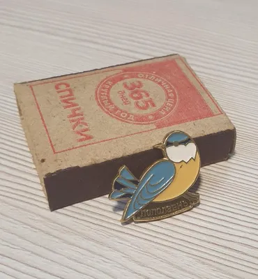 Птицы в кадре on Instagram: “Обыкновенный поползень - небольшая лесная  птичка, пожалуй единственная птица, которая умеет висеть вниз гол… |  Поползень, Птичка, Птицы