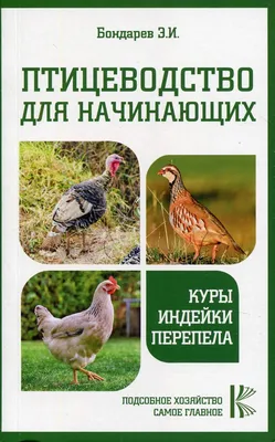 Расходов немного, а доходы – высокие. Путешествие на птицеводческую ферму