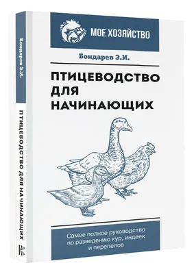 Птицеводство как семейный бизнес | Garden-Zoo.ru | Дзен