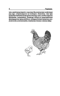 Птицеводство для начинающих. Самое полное руководство по разведению кур,  индеек и перепелов | Бондарев Эдуард Иванович - купить с доставкой по  выгодным ценам в интернет-магазине OZON (838252433)