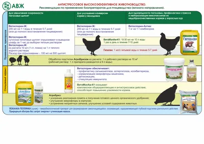 81 ТУ по Луганской Народной Республике | Использование гормональных  стимуляторов в птицеводстве