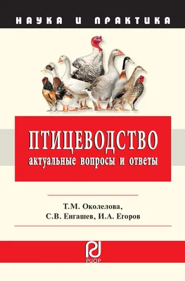 Птицеводство и отсутствие воспитания — Гниги с картинками