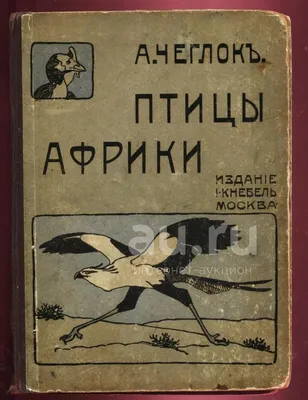 Самые странные птицы Африки Стоковое Изображение - изображение  насчитывающей парк, страннее: 108842313