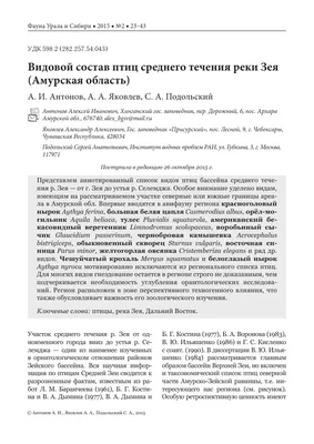 Очаг птичьего гриппа обнаружили в соседней с Якутией Амурской области — ЯСИА