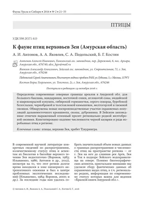 Аистов стало больше, размножаться стали меньше: темп роста численности птиц  упал в Амурской области - KP.RU